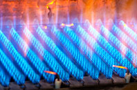 Goginan gas fired boilers